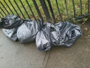 2013-03-16 12.07.35403002405