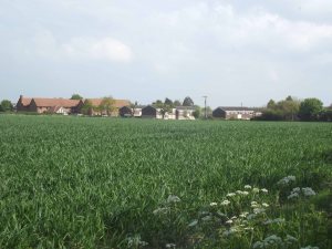 Haughley field and houses